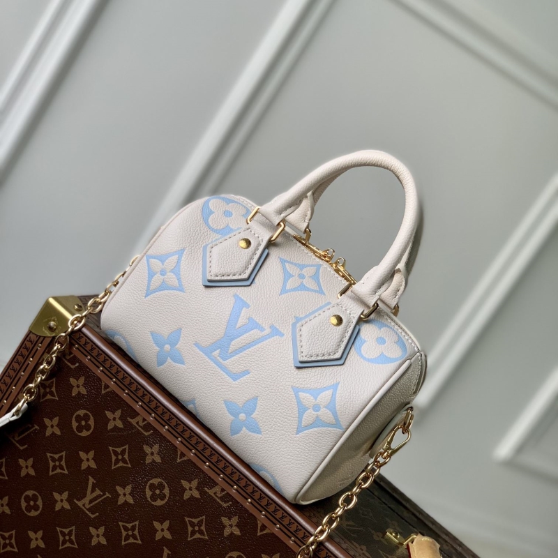 LV Travel Bags